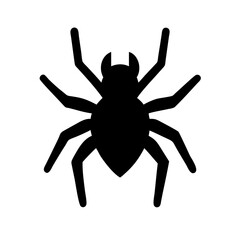 Spider: Intriguing Arachnids of Nature
