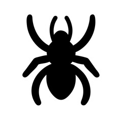 Spider: Intriguing Arachnids of Nature