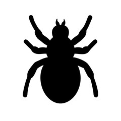 Spider: Intriguing Arachnids of Nature