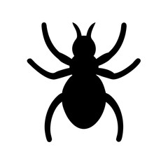 Spider: Intriguing Arachnids of Nature