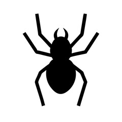 Spider: Intriguing Arachnids of Nature