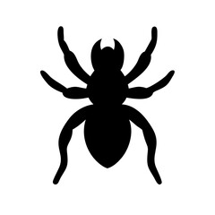 Spider: Intriguing Arachnids of Nature
