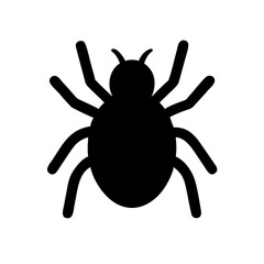 Spider: Intriguing Arachnids of Nature