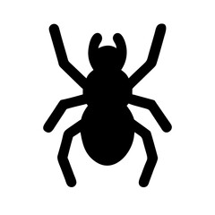 Spider: Intriguing Arachnids of Nature