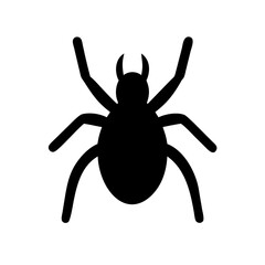 Spider: Intriguing Arachnids of Nature