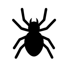 Spider: Intriguing Arachnids of Nature