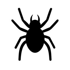 Spider: Intriguing Arachnids of Nature