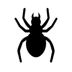 Spider: Intriguing Arachnids of Nature