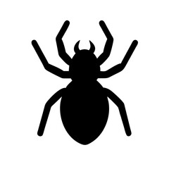 Spider: Intriguing Arachnids of Nature