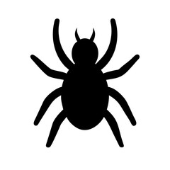 Spider: Intriguing Arachnids of Nature