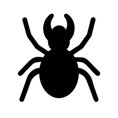 Spider: Intriguing Arachnids of Nature