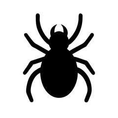 Spider: Intriguing Arachnids of Nature
