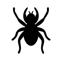 Spider: Intriguing Arachnids of Nature