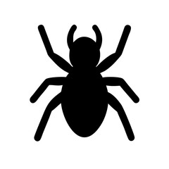Spider: Intriguing Arachnids of Nature
