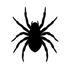 Spider: Intriguing Arachnids of Nature
