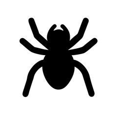 Spider: Intriguing Arachnids of Nature