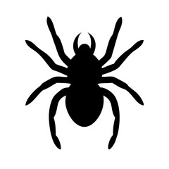 Spider: Intriguing Arachnids of Nature