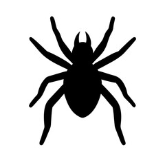 Spider: Intriguing Arachnids of Nature