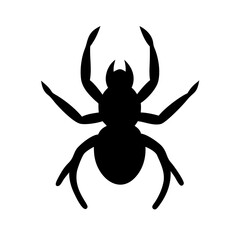 Spider: Intriguing Arachnids of Nature