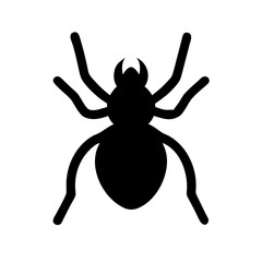 Spider: Intriguing Arachnids of Nature