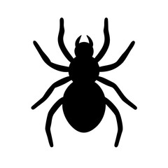 Spider: Intriguing Arachnids of Nature