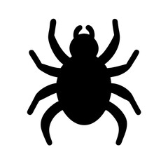 Spider: Intriguing Arachnids of Nature