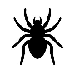 Spider: Intriguing Arachnids of Nature