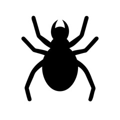 Spider: Intriguing Arachnids of Nature