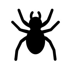 Spider: Intriguing Arachnids of Nature