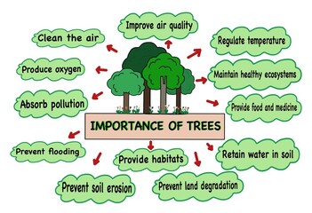Colorful hand-drawn picture about the importance of trees- benefits like producing oxygen, preventing soil erosion and providing habitats. Perfect for environmental education and ESL lesson.  