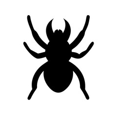 Spider: Intriguing Arachnids of Nature