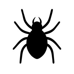 Spider: Intriguing Arachnids of Nature