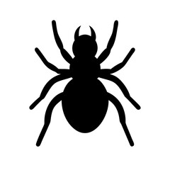 Spider: Intriguing Arachnids of Nature