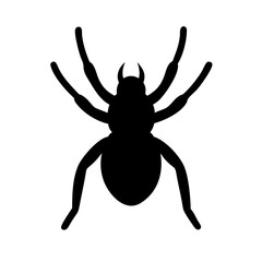 Spider: Intriguing Arachnids of Nature