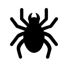 Spider: Intriguing Arachnids of Nature