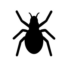 Spider: Intriguing Arachnids of Nature
