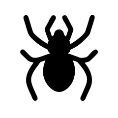 Spider: Intriguing Arachnids of Nature