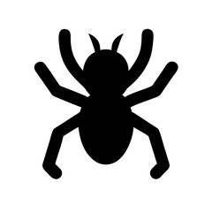 Spider: Intriguing Arachnids of Nature