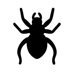 Spider: Intriguing Arachnids of Nature