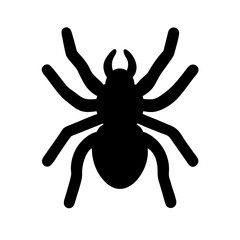 Spider: Intriguing Arachnids of Nature