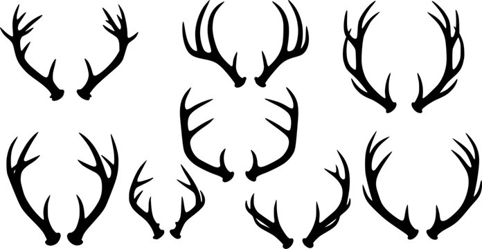 Set of antlers vector illustration. Collection of black deer antlers and horns silhouette isolated on white background. Design suitable for sticker, card, comic, print, poster, logo, decoration.