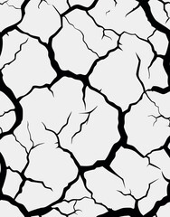 Cracked Dry Earth Texture  Black and White Abstract Ground Pattern