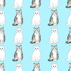 Cute cat pattern images are suitable for printing on product surfaces.