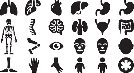 Human Anatomy Icons Black Glyph Set of Internal Organs, Skeleton, and Body Parts
