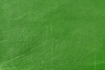 Beautiful green background with leather texture