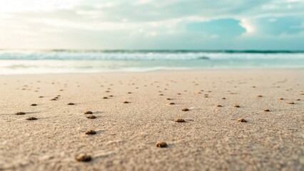 Close-up of the sandy shore at the water's edge, showing intricate details of the sand grains and small natural debris. The blurred background features the calming ocean and horizon