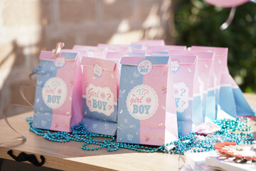 Charming gender reveal party cups with a fun “Boy or Girl?” design in pink and blue — perfect...