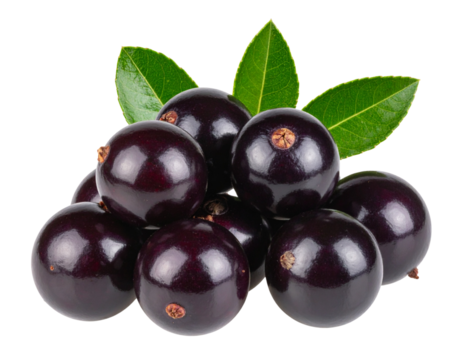 Cluster of Fresh Jaboticaba Fruits with Leaves PNG