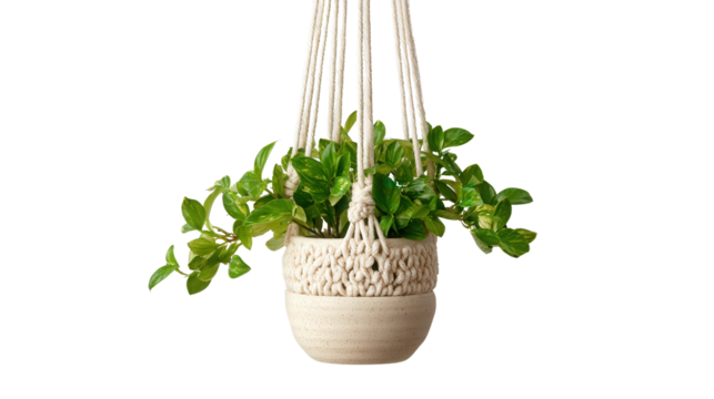 Macrame plant hanger with pot background isolated on a Transparent background, PNG file. - Powered by Adobe