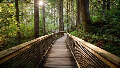 Obraz premium wooden boardwalk with hand rail through woodland
